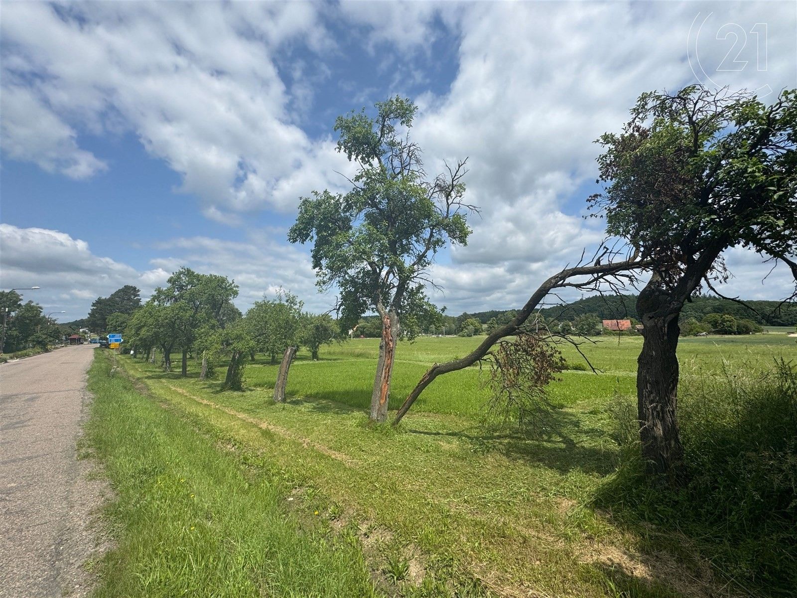 Prodej pozemek pro bydlení - Libníkovice