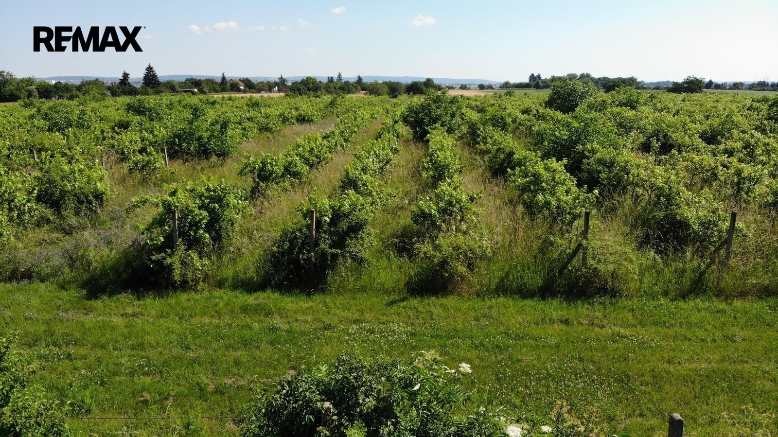 Komerční pozemek · 2 465 m² · Brno - 4