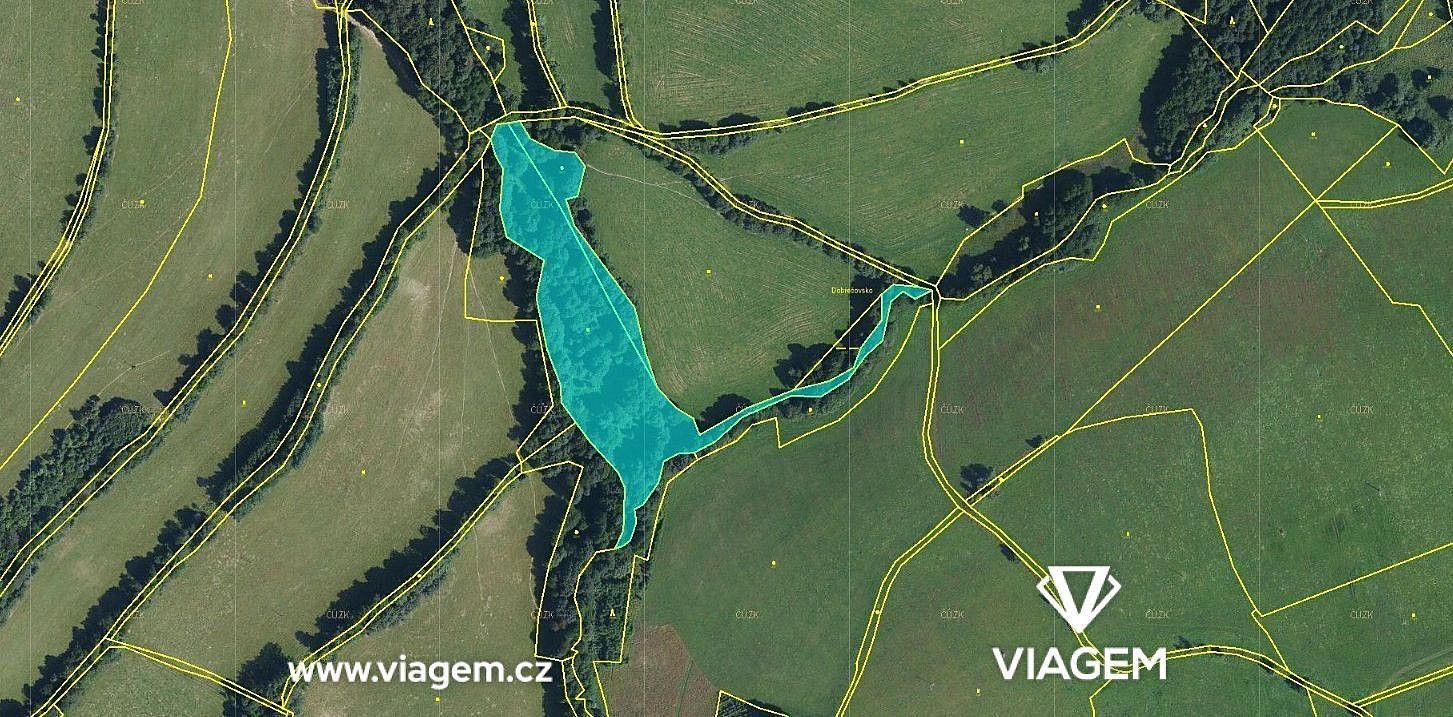 Prodej zemědělský pozemek - Horní Město, okres Bruntál, Moravskoslezský kraj - 1