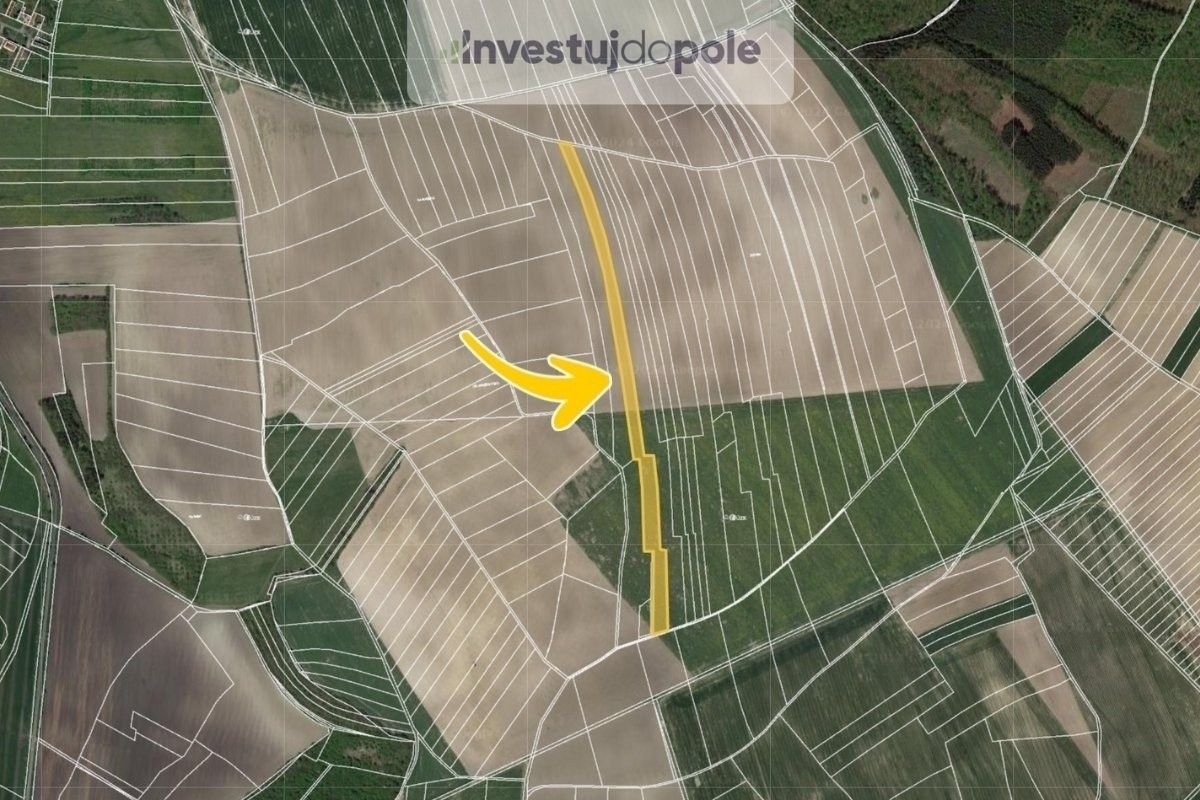 Pronájem zemědělský pozemek - Velenice, 1 300 m²