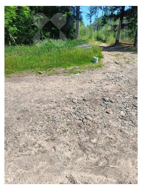 Prodej louka - Velká Roudka, Velké Opatovice