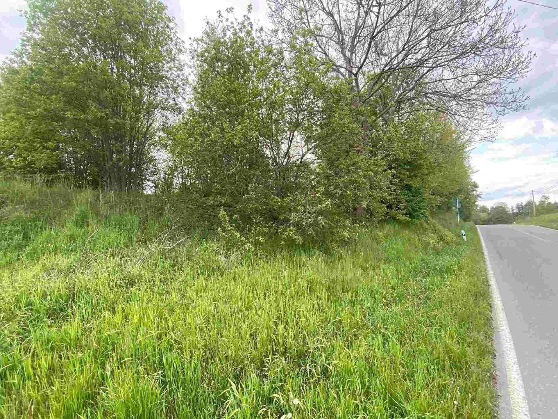 Prodej pozemek pro bydlení - Vajglov, Břidličná, 705 m²