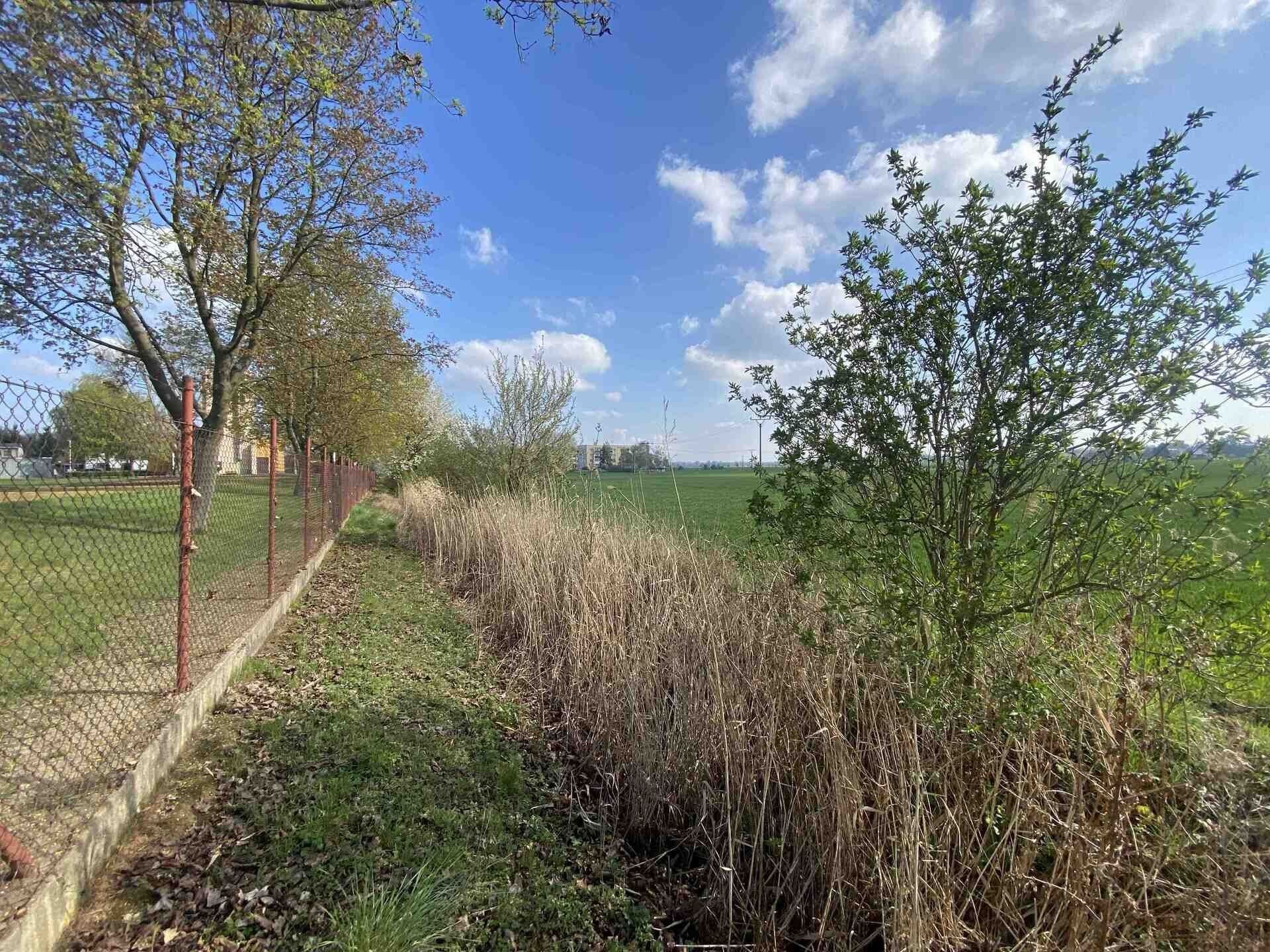 Prodej pozemek - Černčice, 3 560 m² - 2