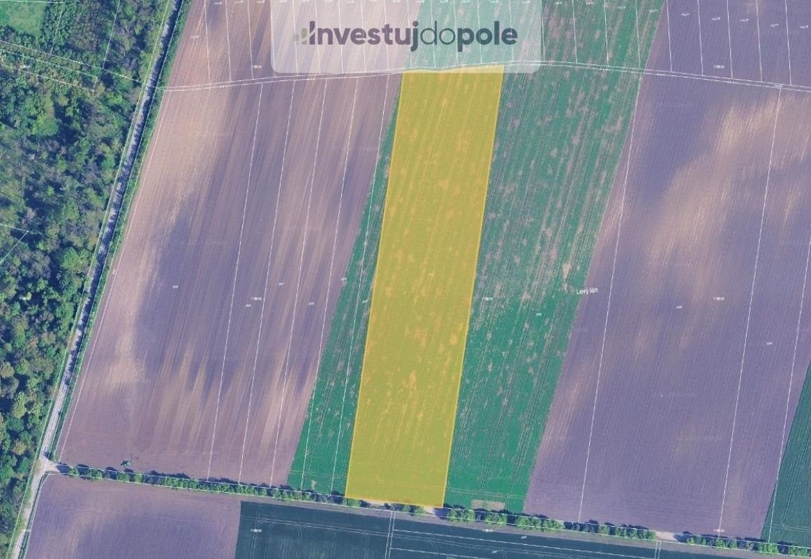 Prodej zemědělský pozemek - Sokolnice, 664 52, 31 775 m²