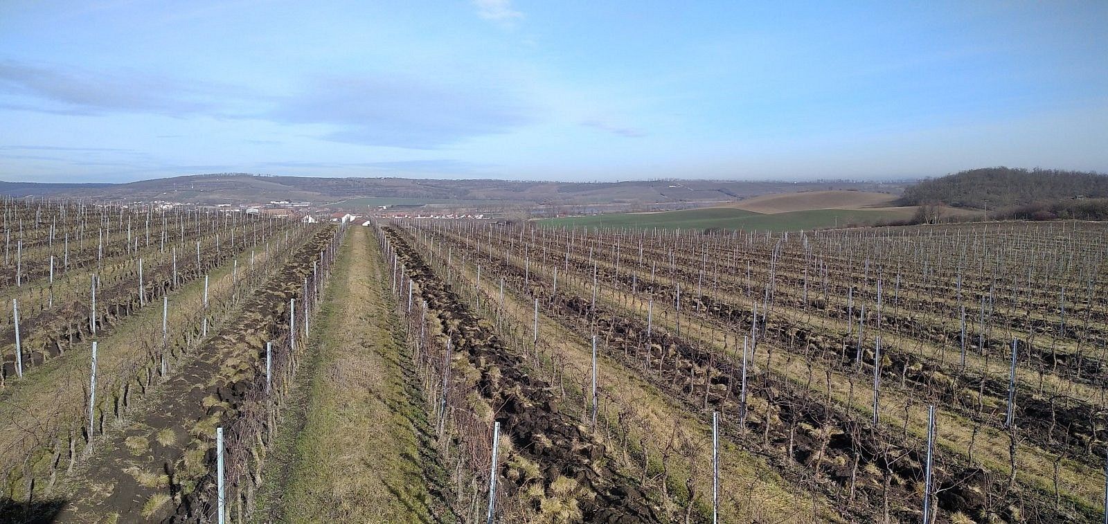 Ostatní, Valtice - Úvaly, okres Břeclav, Jihomoravský kraj - 1