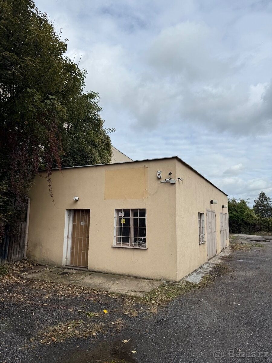 Pronájem obchodní prostory - Litoměřice, 412 01, 55 m²