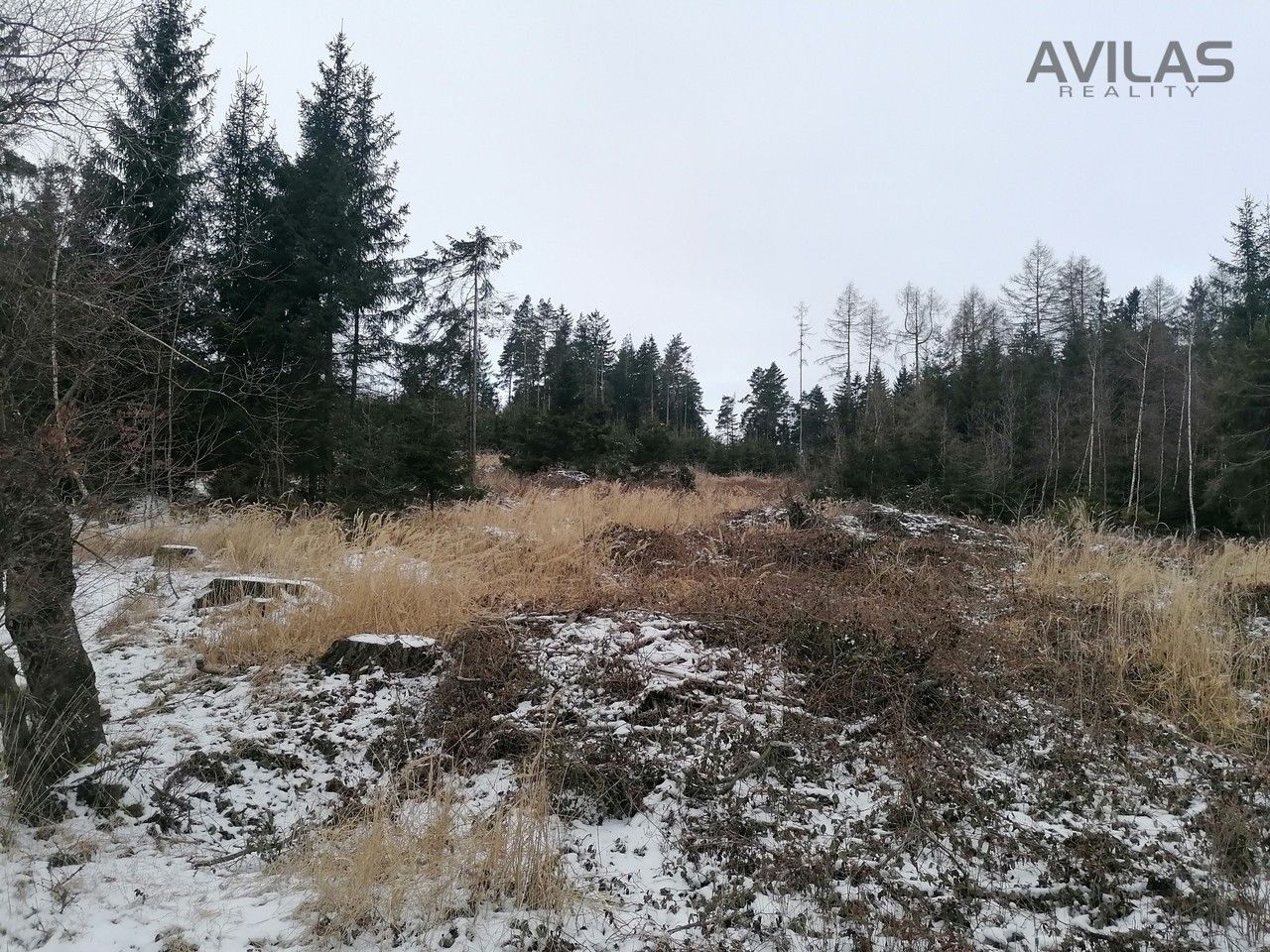 Lesy, Hory, Votice, 11 862 m²