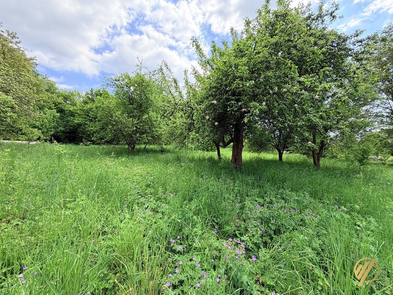 Prodej rodinný dům - Bozkov, okres Semily, Liberecký kraj, 290 m² - 5