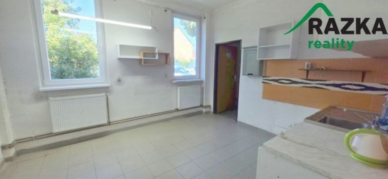 Pronájem výrobní prostory - Plzeňská, Planá, 249 m² - 5