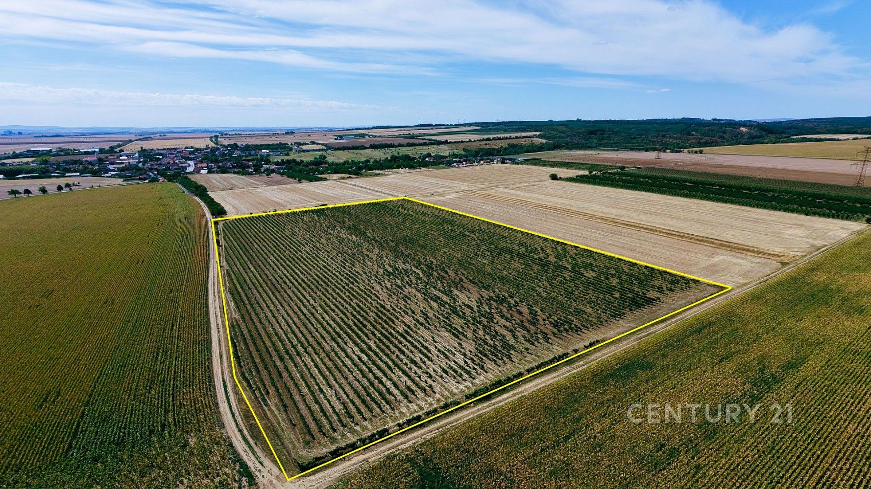 Zemědělské pozemky, Těšetice, okres Znojmo, Jihomoravský kraj - 1