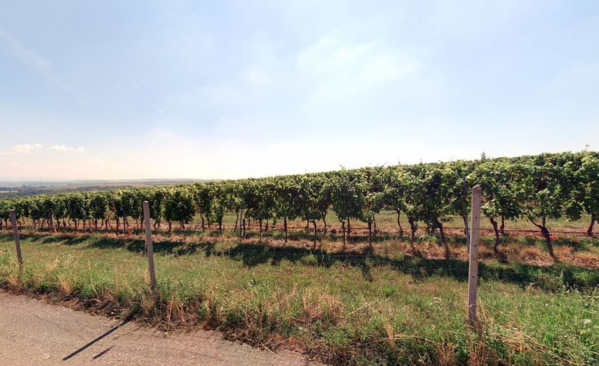 Prodej pozemek - Kobylí