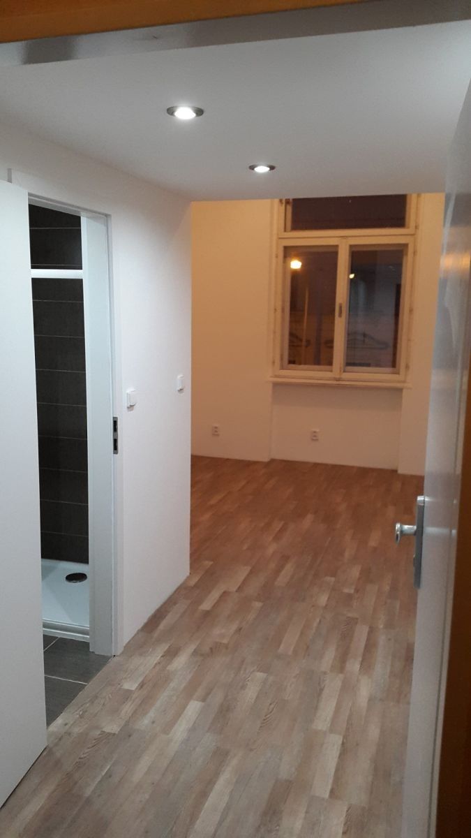 1+kk, Seifertova, Praha - Žižkov, 20 m² - 1