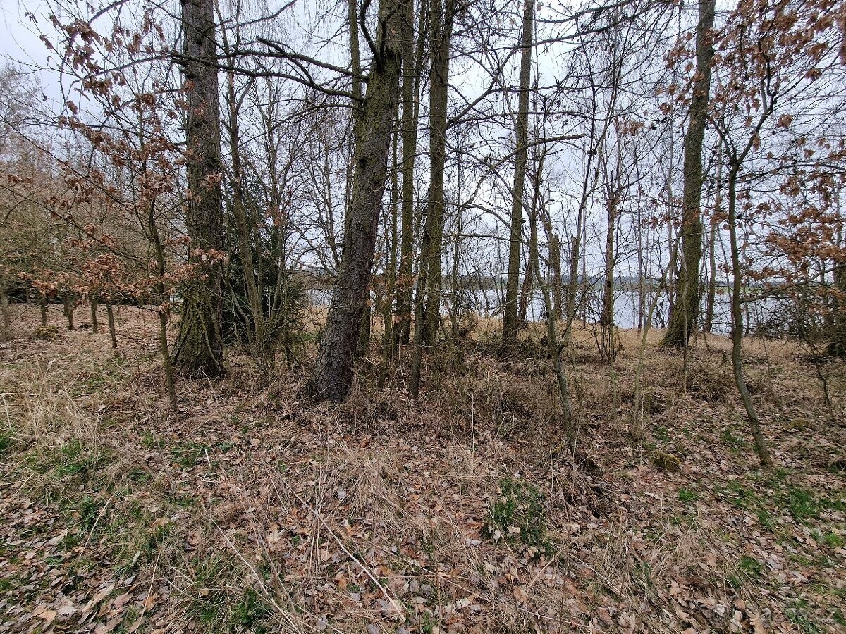 Prodej pozemek pro bydlení - Lnáře, 387 42 - 5