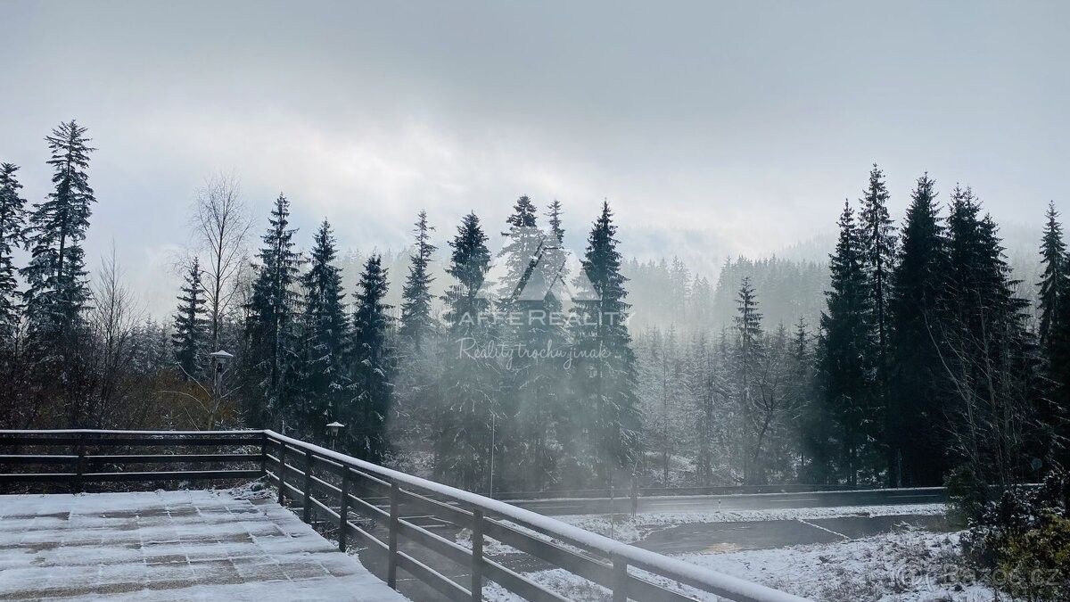 Prodej restaurace - Staré Hamry, 739 15