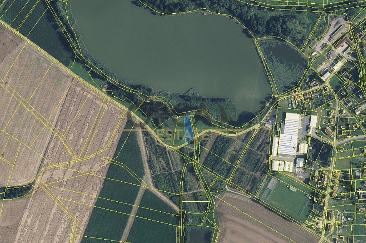 Prodej louka - Třebařov, okres Svitavy, Pardubický kraj - 2