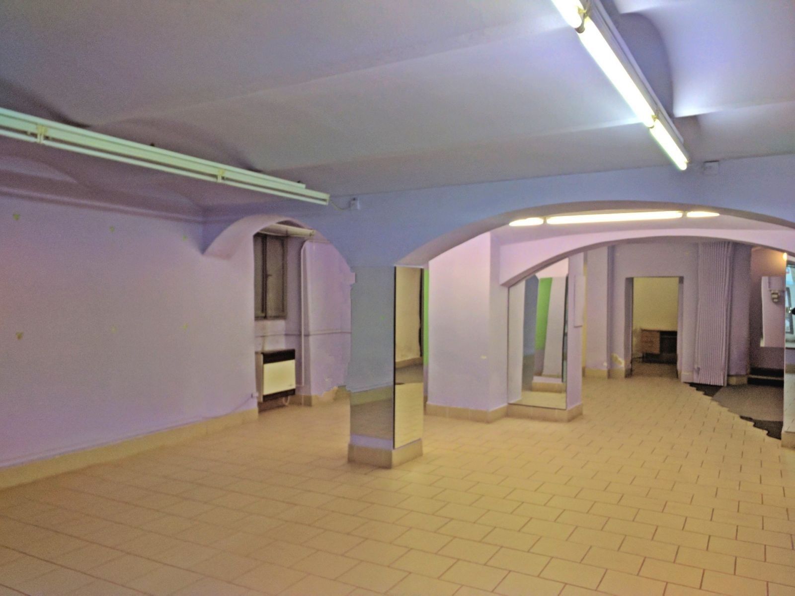 Obchodní prostory · 100 m² · Dolní, Havlíčkův Brod - Havlíčkův Brod, Kraj Vysočina - 3