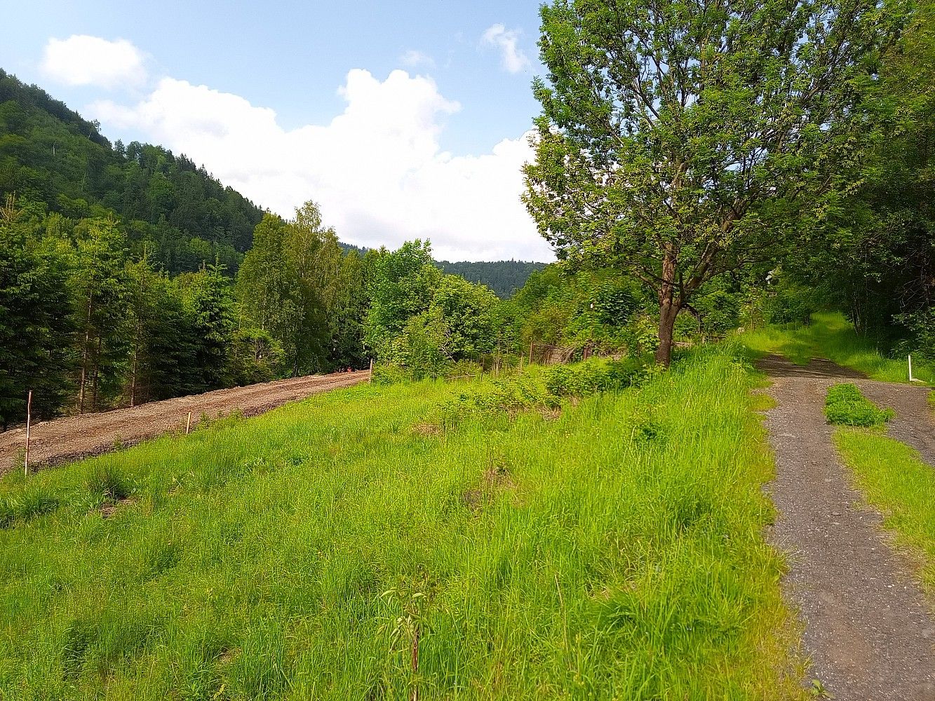 Pozemek pro bydlení · Desná, okres Jablonec nad Nisou, Liberecký kraj - 3