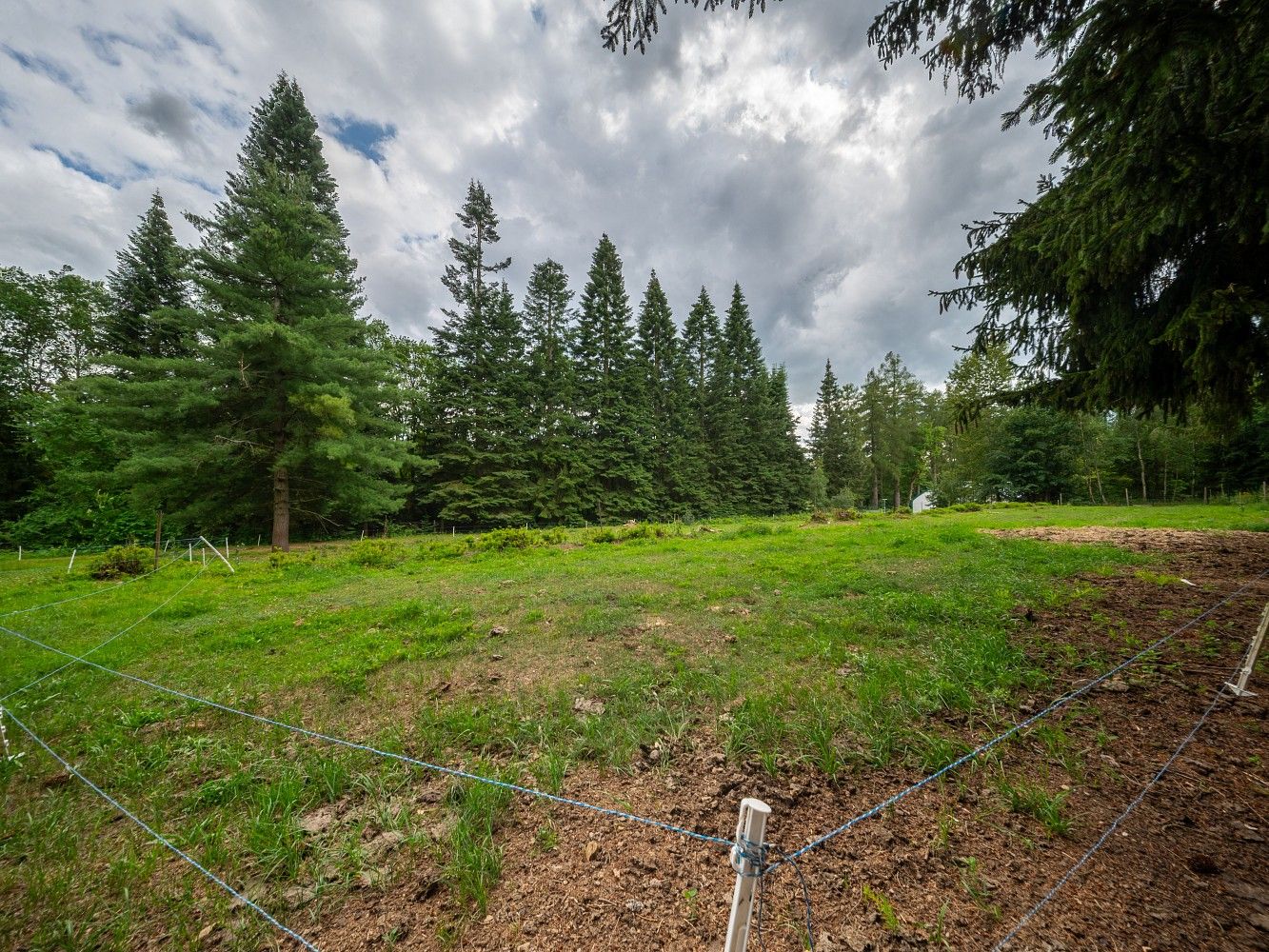 Prodej komerční pozemek - Kamenice nad Lipou - Pravíkov, okres Pelhřimov - 5