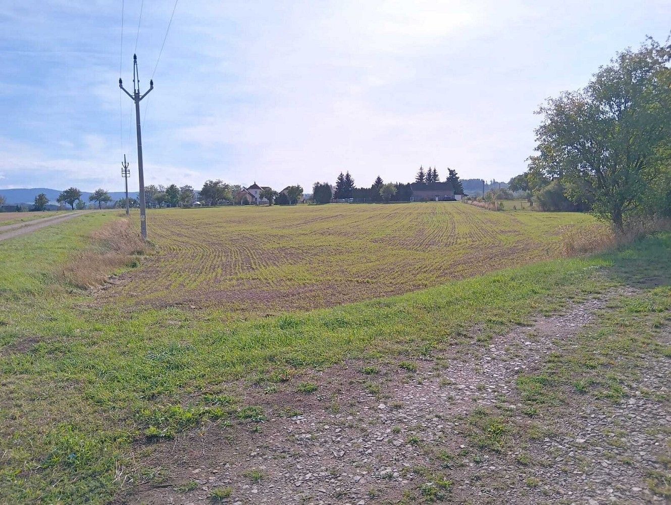 Zemědělský pozemek · Vrbice - 4