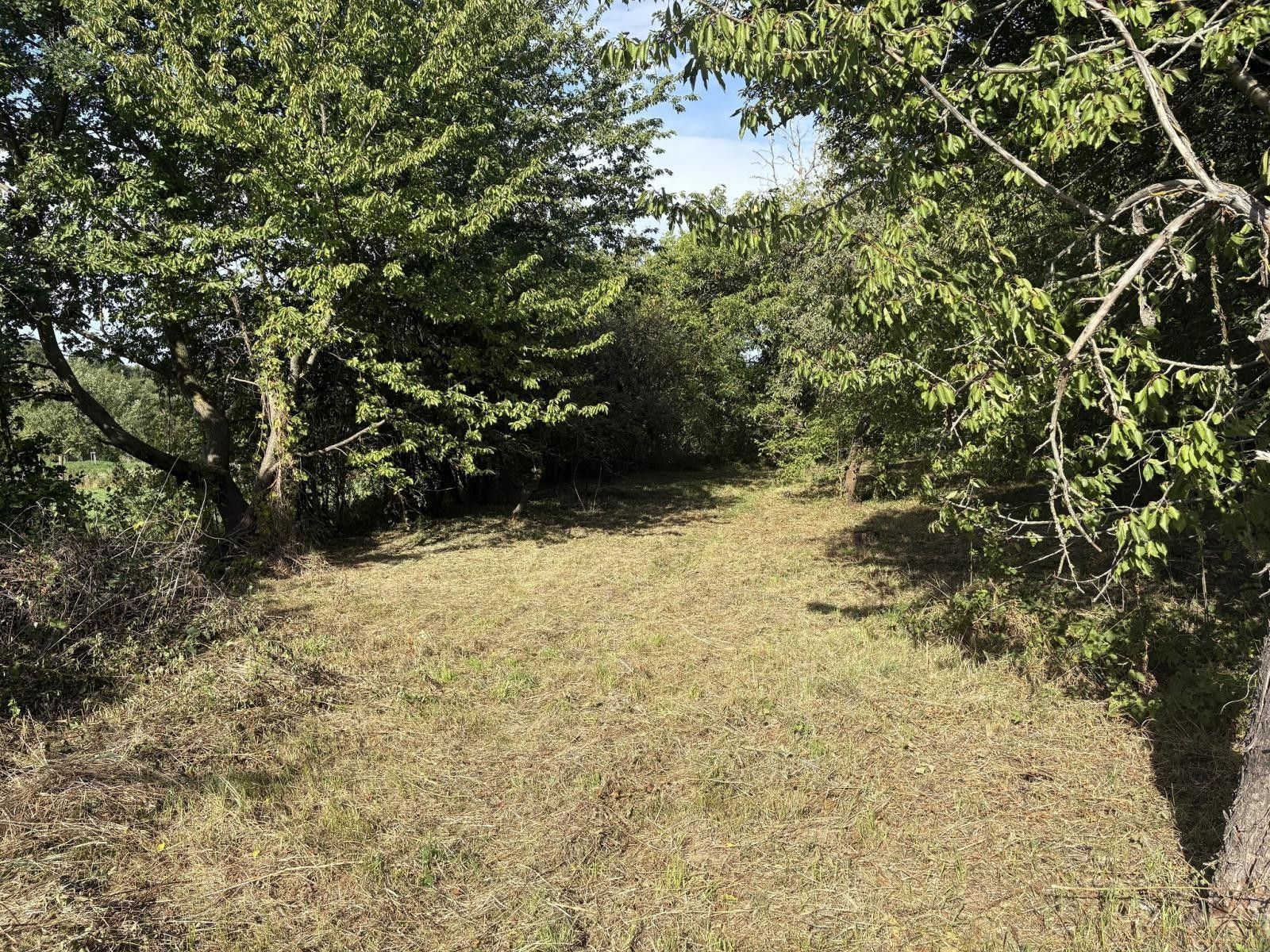 Prodej zahrada - Říčany, Praha-východ, 2 317 m² - 2