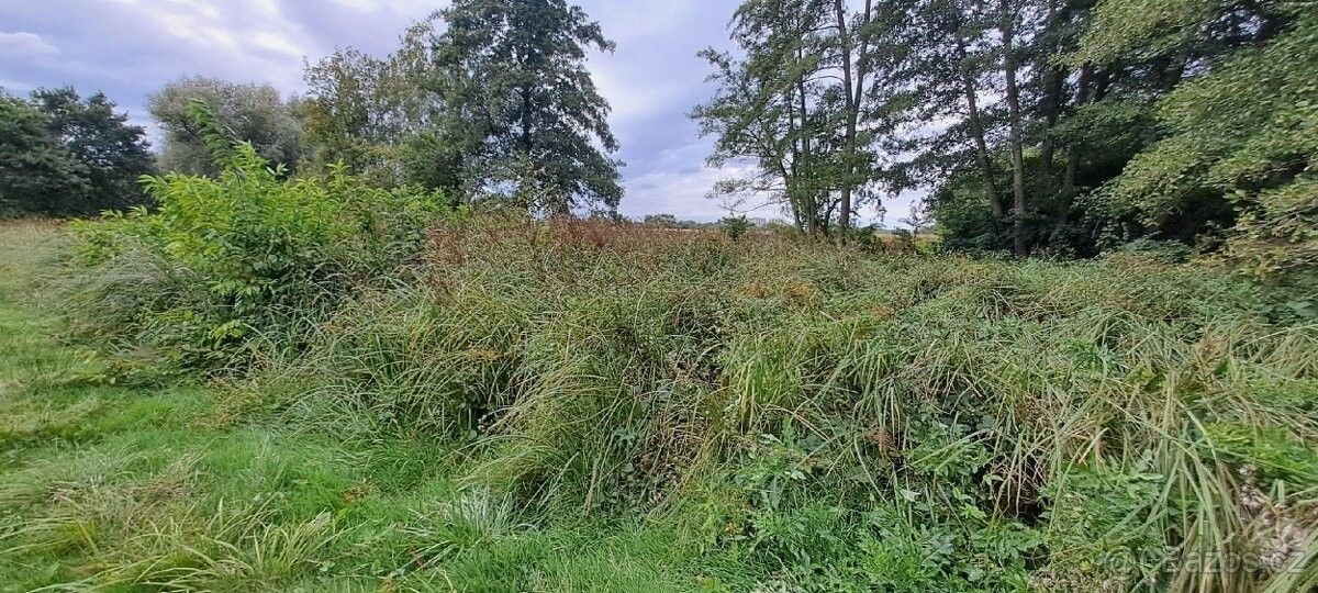 Pozemky pro bydlení, Dřísy, 277 14