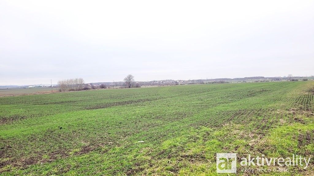 Zemědělský pozemek · 11 950 m² · Jiřice, Kostelec nad Labem - 3