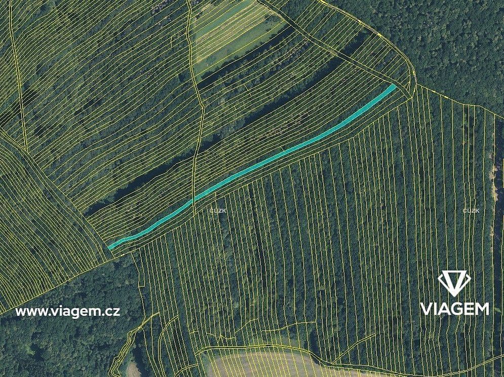 Les · Mistřice, okres Uherské Hradiště, Zlínský kraj - 3