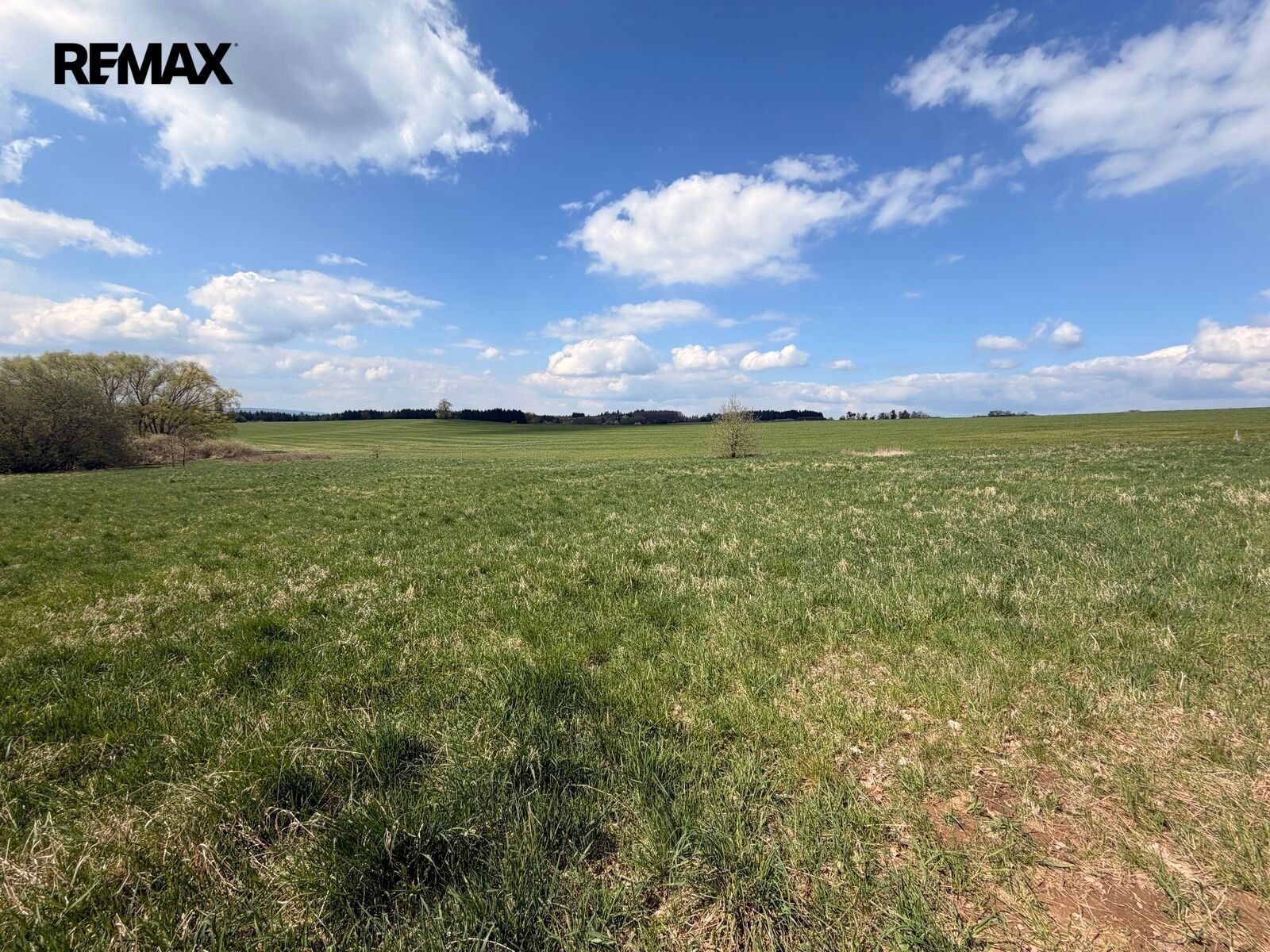 Pozemky pro bydlení, Planá, 1 811 m² - 2