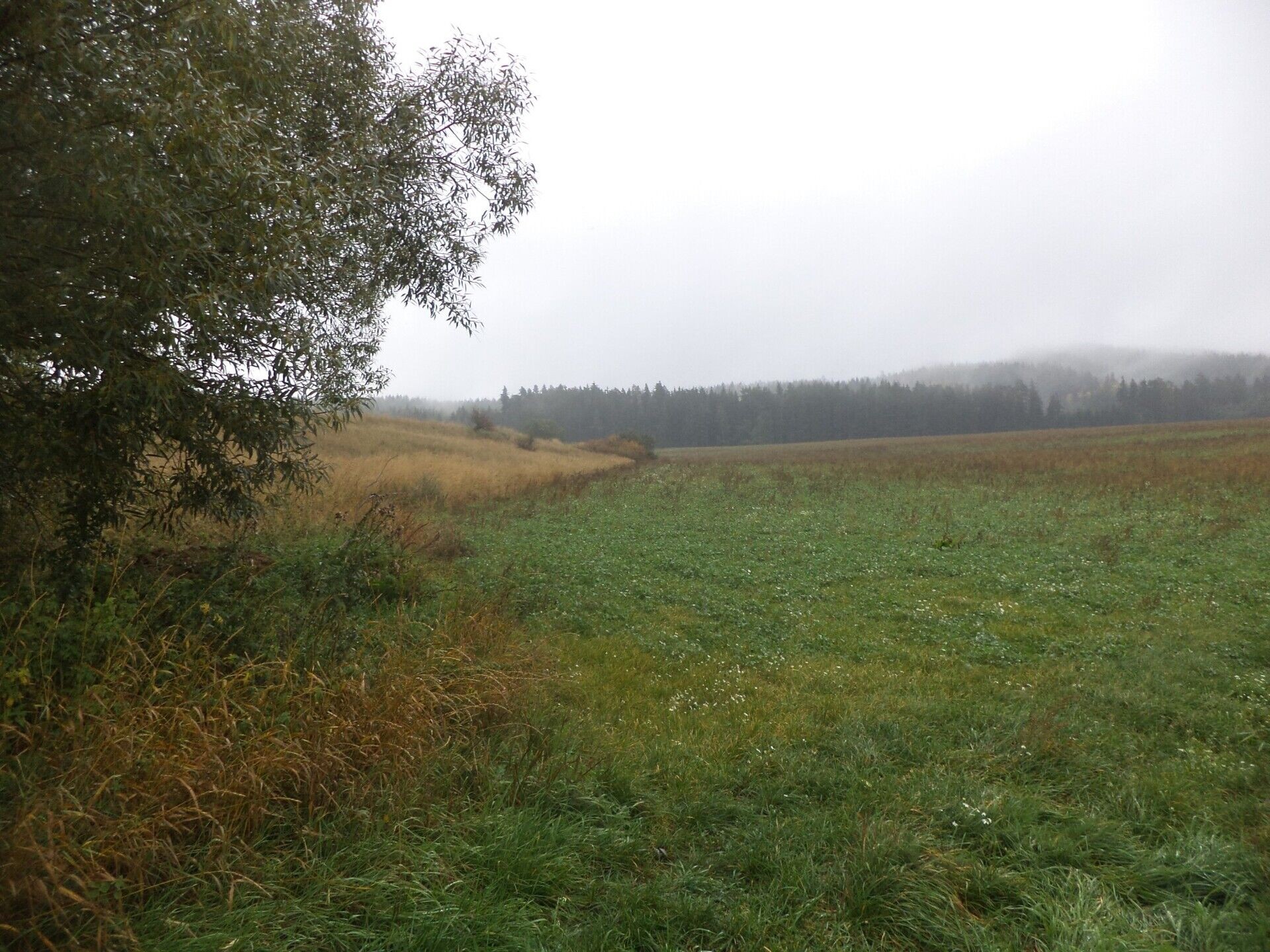 Prodej louka - Peč Urbaneč, 19 262 m² - 5