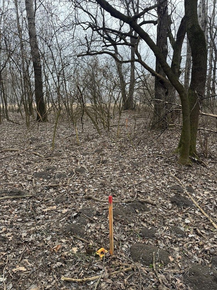 Les · Uherský Ostroh - Varnsdorf - 3
