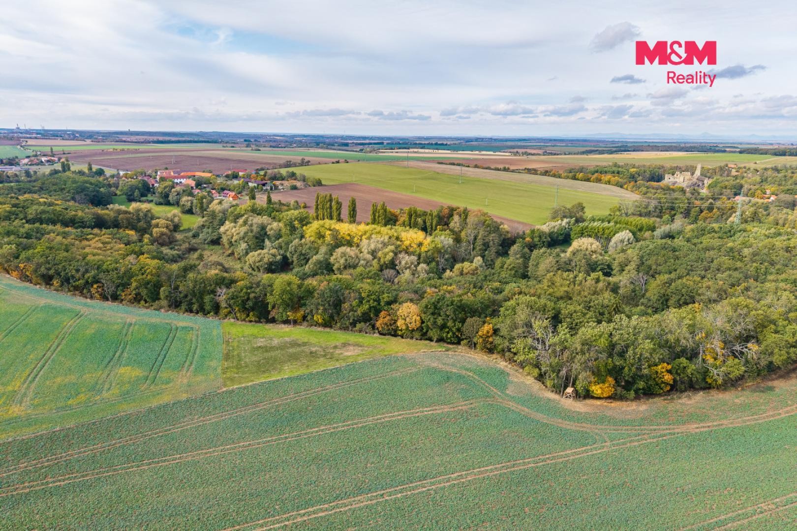 Prodej zemědělský pozemek - Číčovice - 5