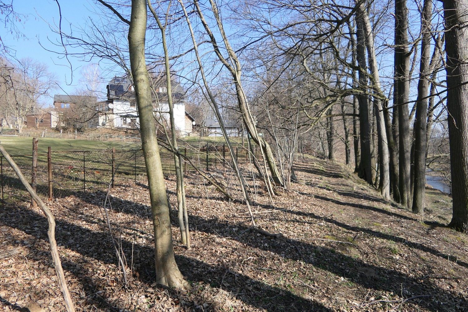 Prodej les - Raspenava, okres Liberec, Liberecký kraj - 1