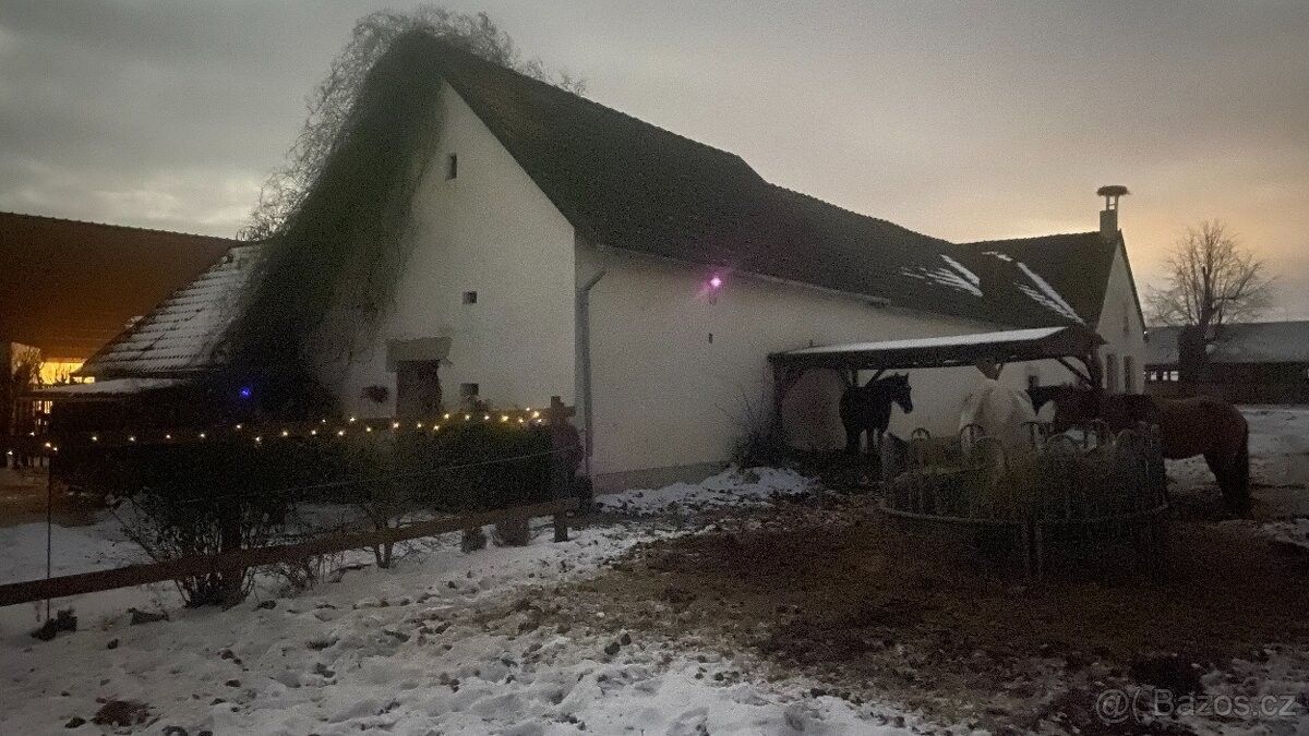 Prodej ostatní - Kardašova Řečice, 378 21