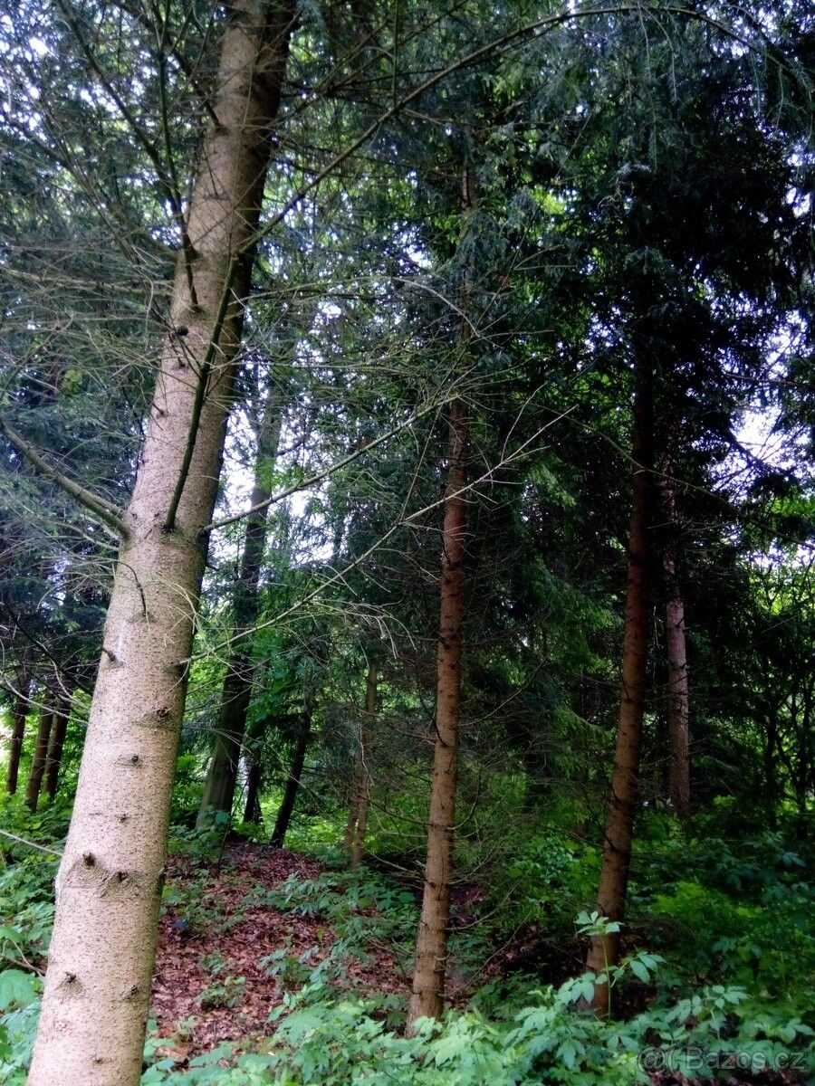 Prodej pozemek pro bydlení - Břidličná, 793 51