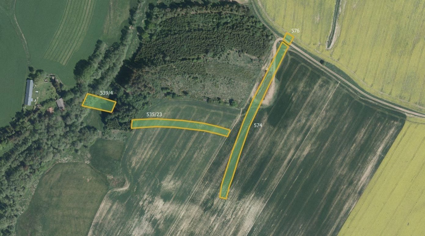 Prodej zemědělský pozemek - Nové, Vyklantice