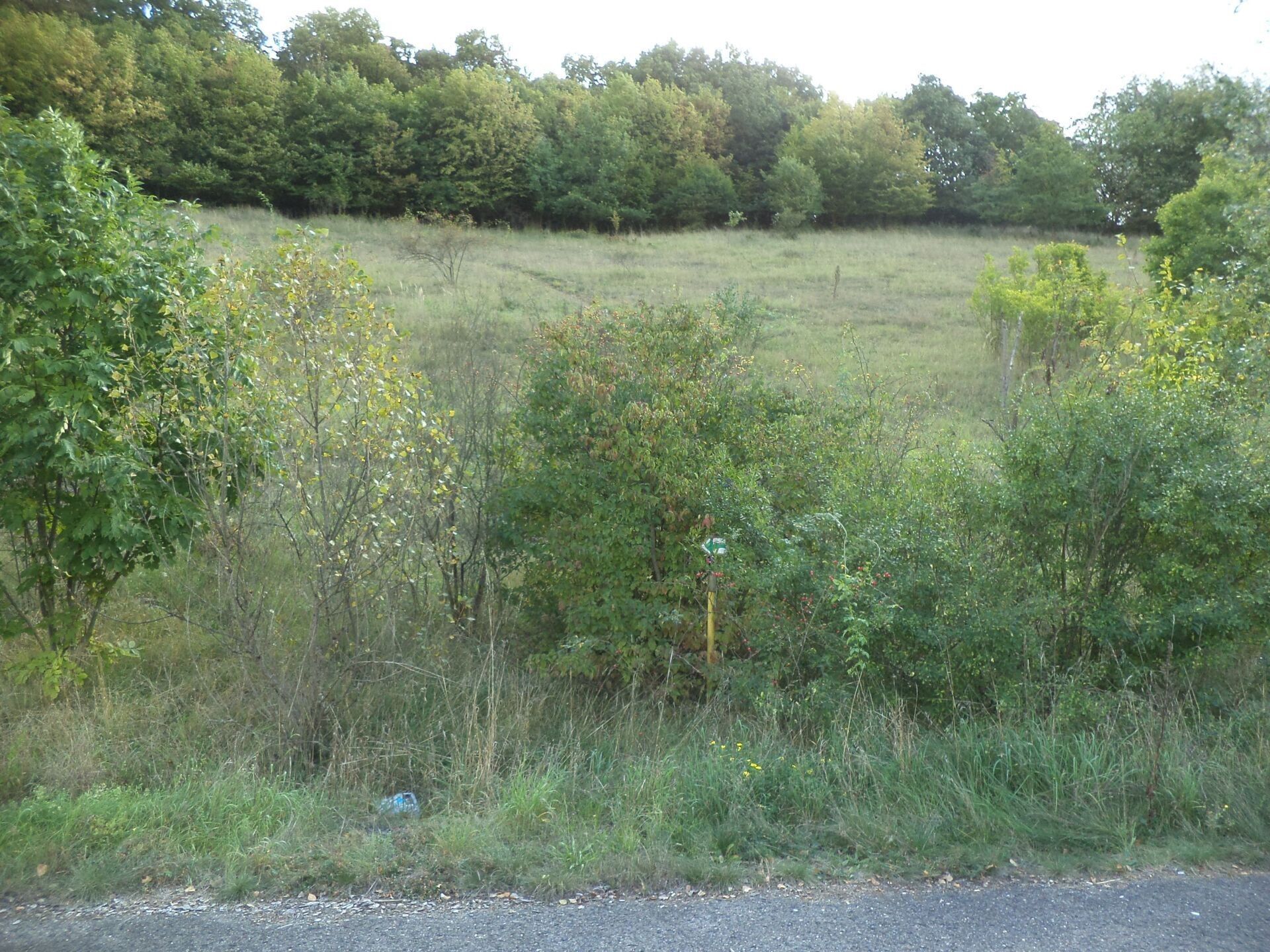 Zemědělské pozemky, Stadice, Řehlovice, 1 m²