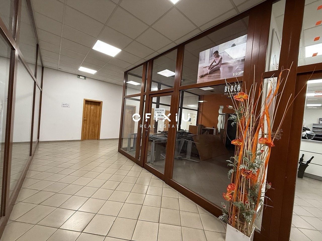 Obchodní prostory · 31 m² · Brno - Brno-město, okres Brno-město, Jihomoravský kraj - 3