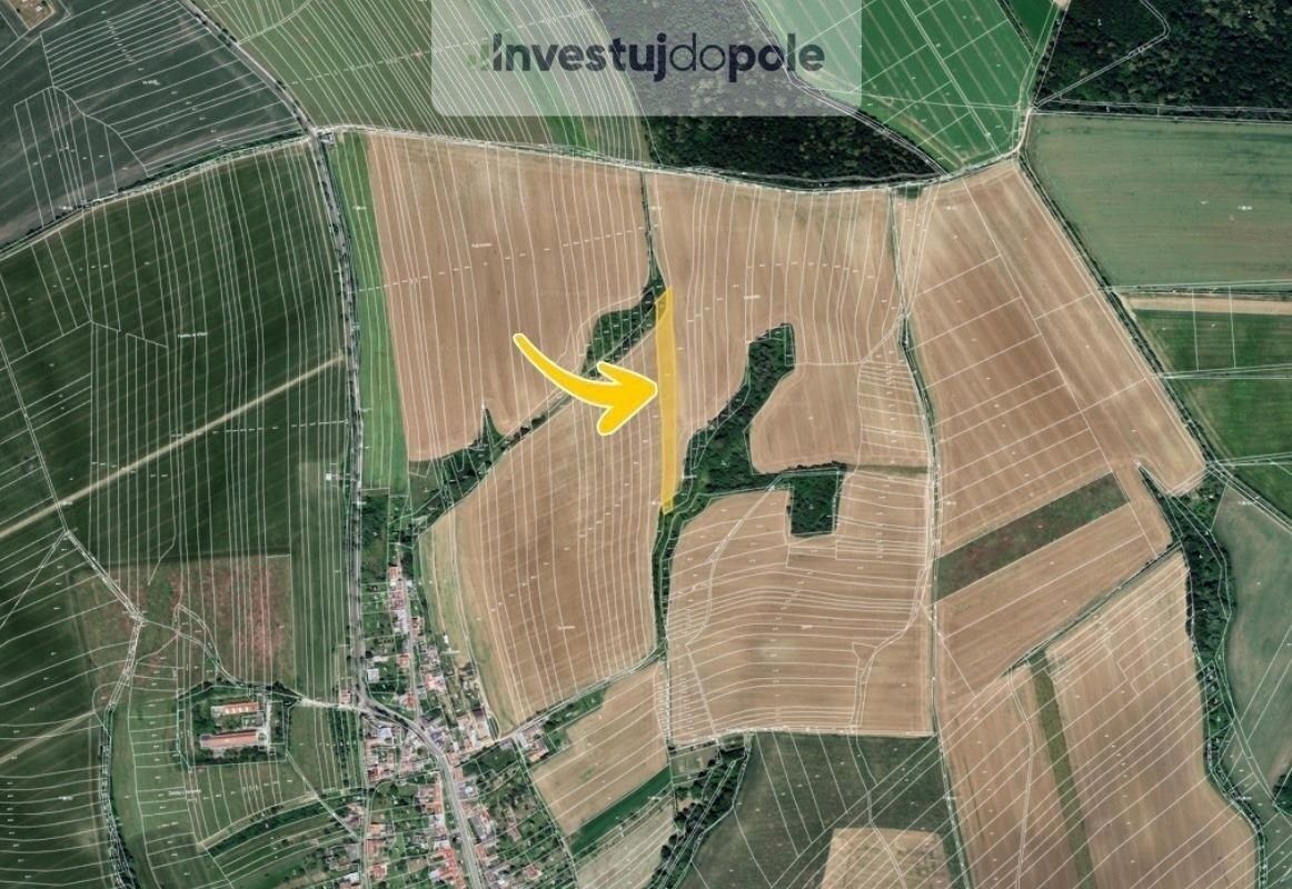 Prodej zemědělský pozemek - Zborovice, 5 441 m²