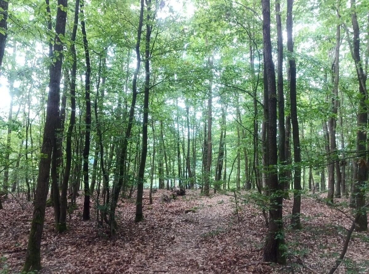 Ostatní, Nižbor, 267 05 - 2