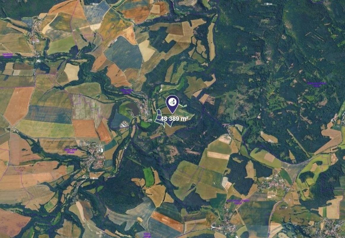 Les · Bojanovice - 3