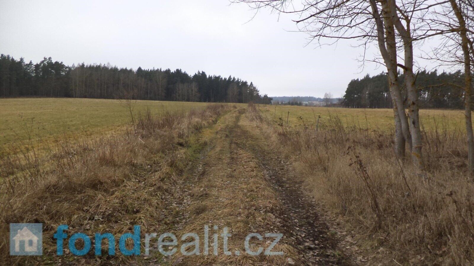 Zemědělské pozemky, Lom u Tachova, 3 739 m² - 2