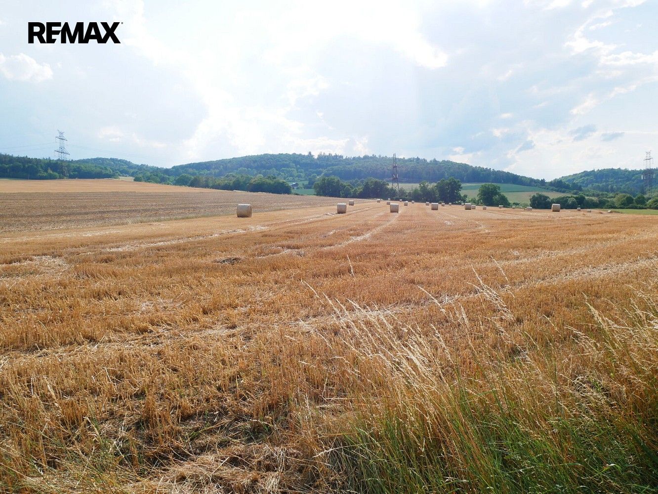 Pozemek · Nový Knín, okres Příbram, Středočeský kraj - 3