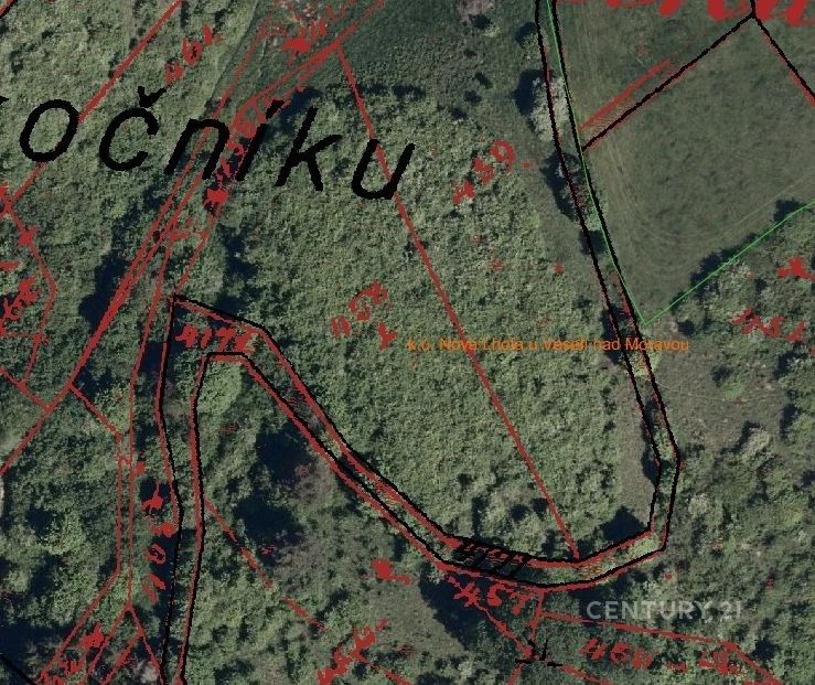 Prodej zemědělský pozemek - Nová Lhota - 5
