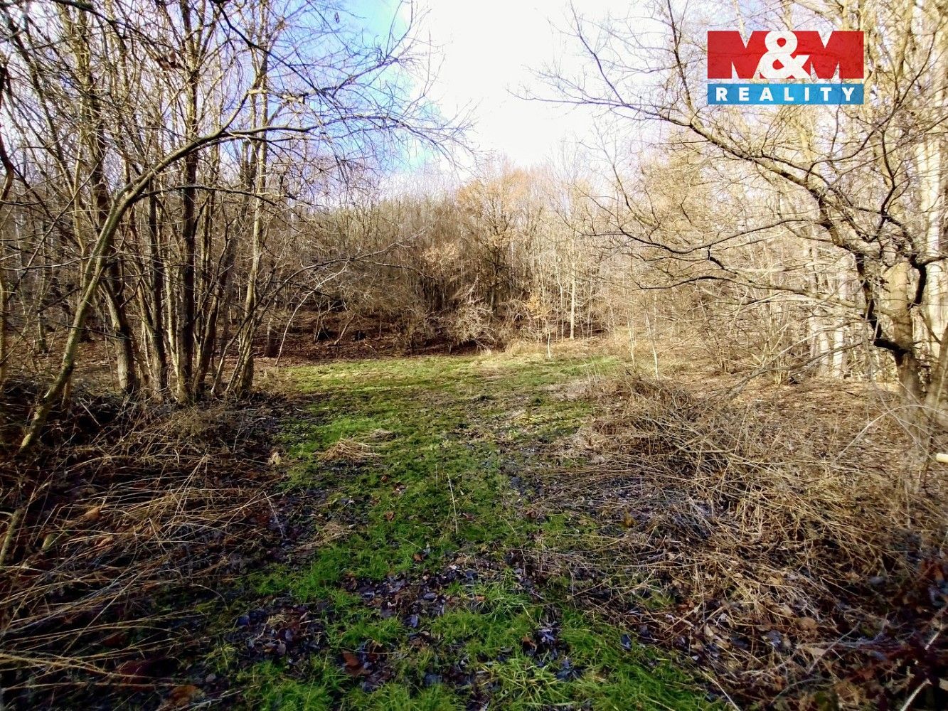 Pronájem louka - Slatina, okres Nový Jičín, Moravskoslezský kraj - 5