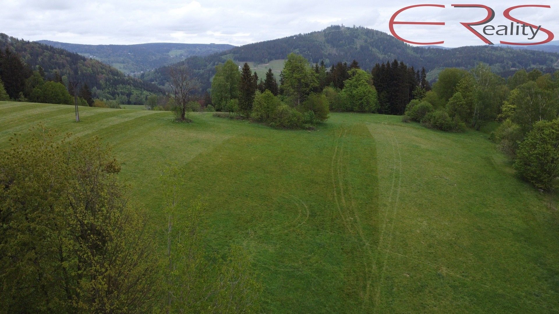 Prodej louka - Smržovka