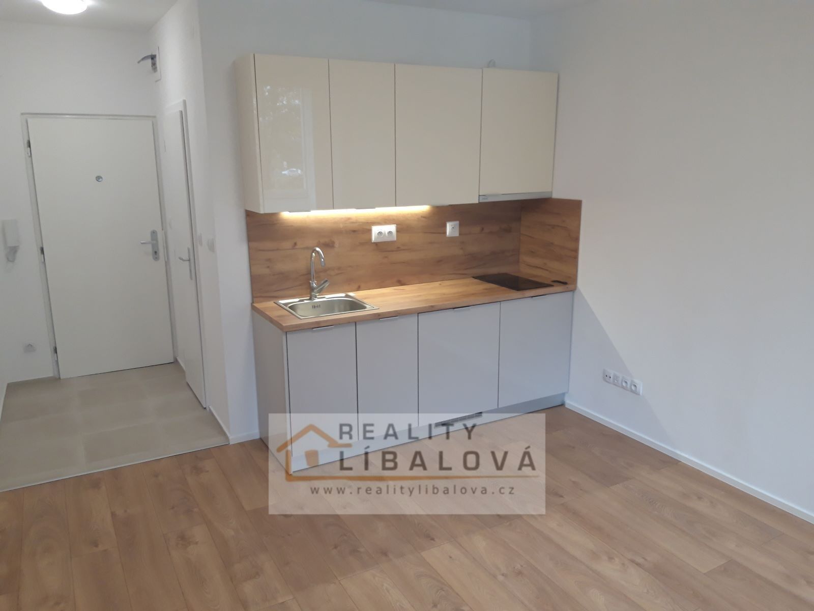 1+kk, Hoření, Ústí nad Labem, 22 m²