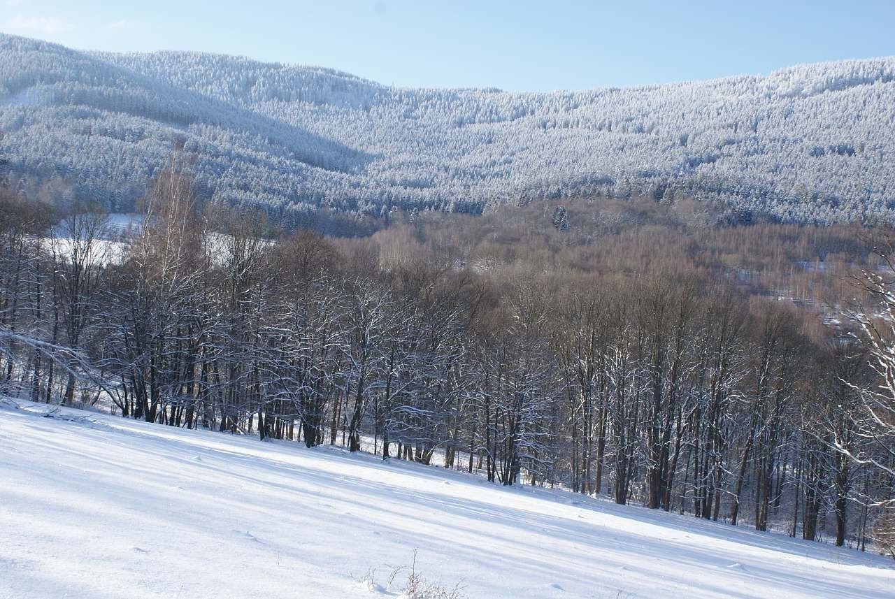 Chata · Dešenice - Městiště u Děpoltic, Plzeňský kraj - 3