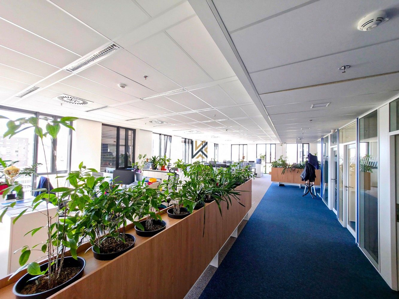 Kancelář · 564 m² · Praha - Karlín, okres Praha 8, Hlavní město Praha - 3