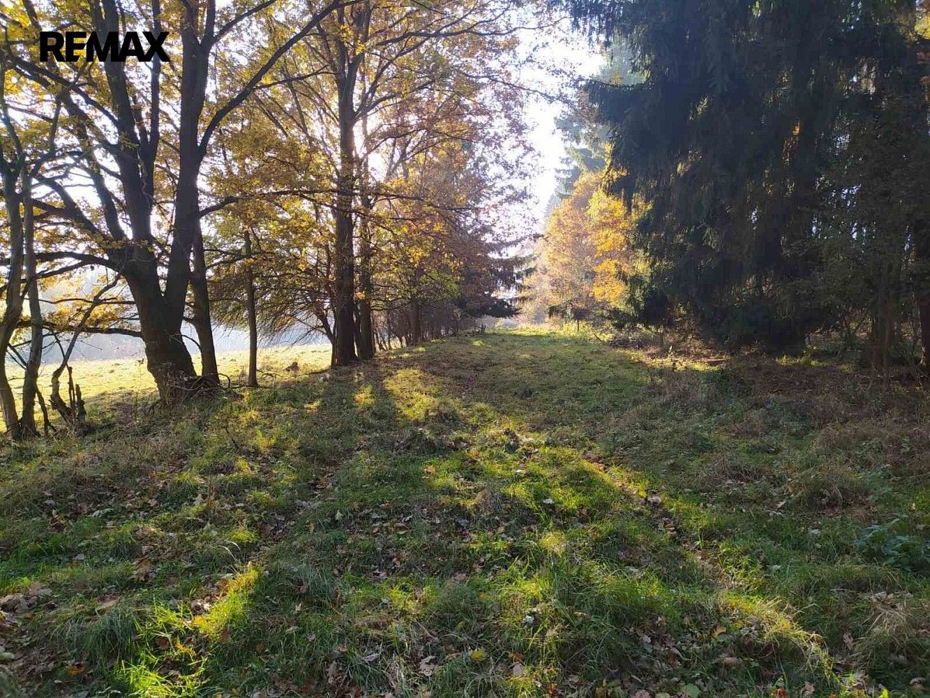 Louky, Kynšperk nad Ohří, okres Sokolov, Karlovarský kraj - 2