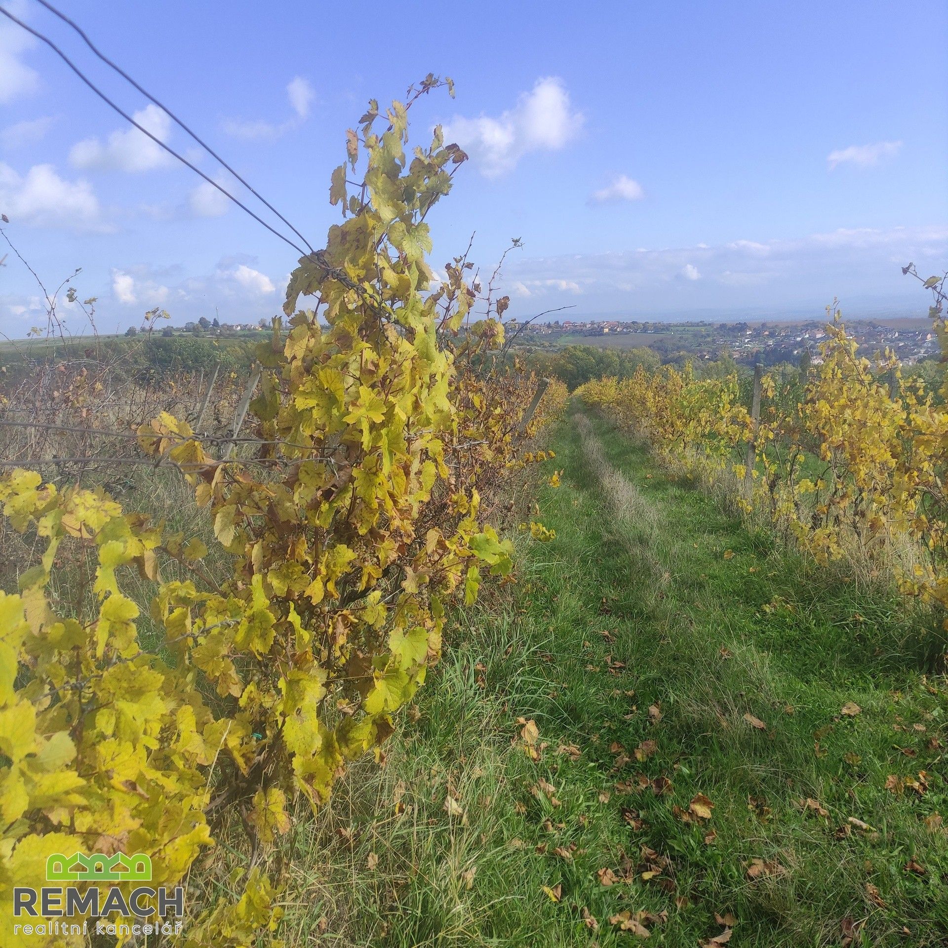 Ostatní, Ořechov, 4 846 m²